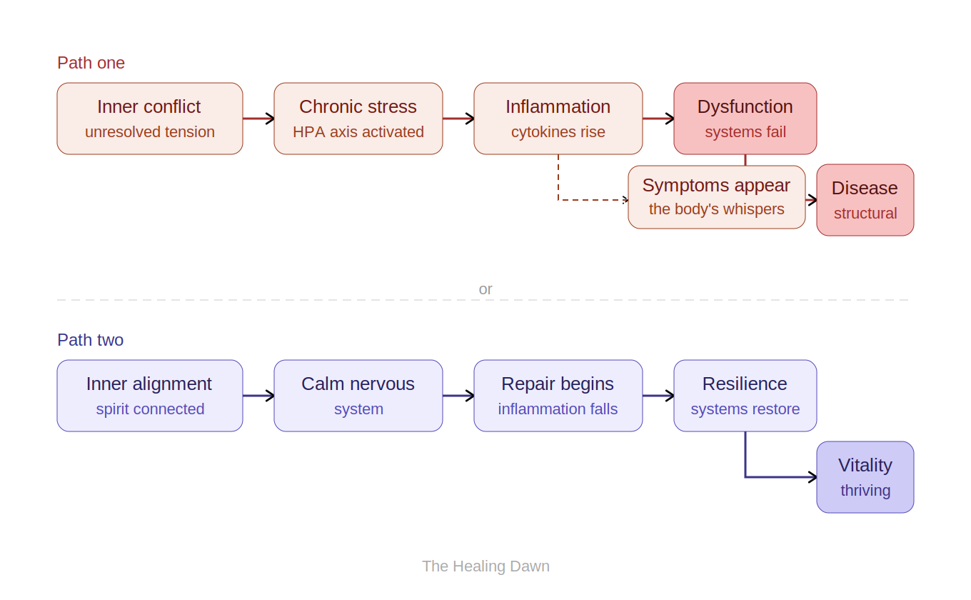 Two Paths — The Healing Dawn